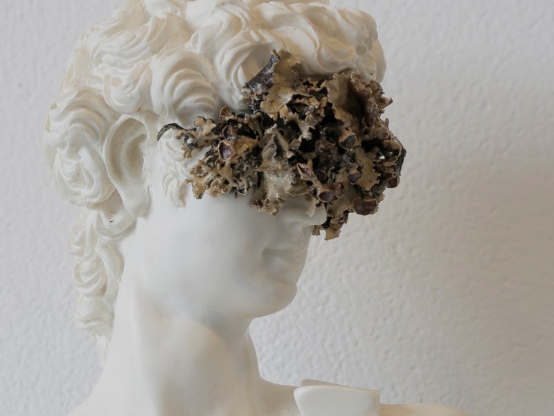 Staging Ground: A Forest for&nbsp;Artists